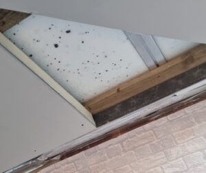 Conservatory Roof Replacements