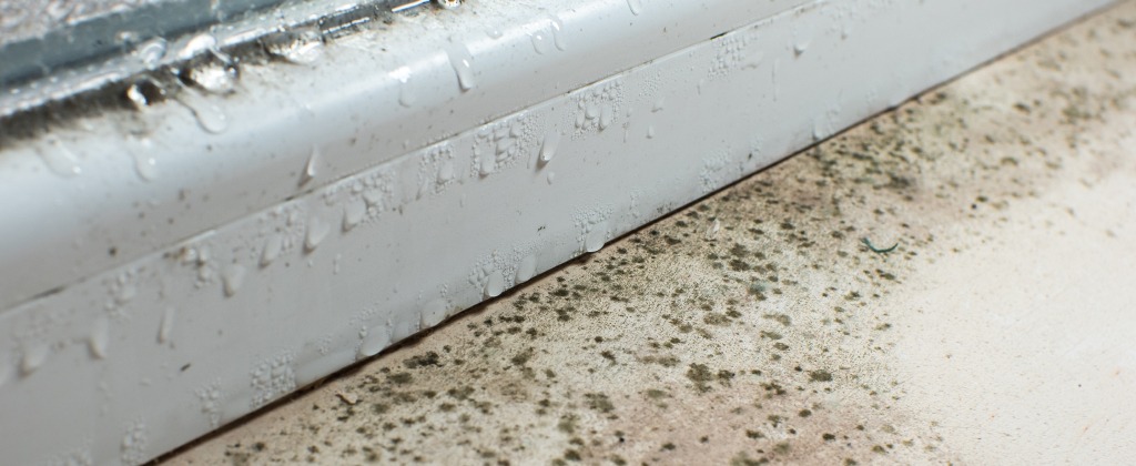 Mould and damp caused by poor conservatory roof insulation